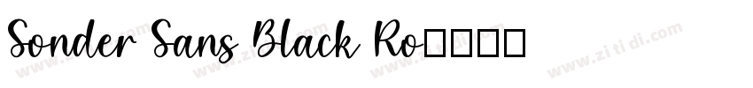 Sonder Sans Black Ro字体转换